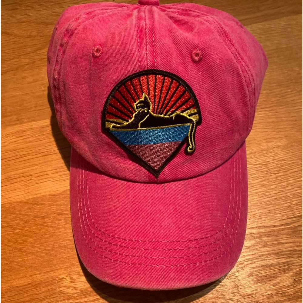 🐈 Under the Stars Garcia Hollowed Out Ponytail 🧢